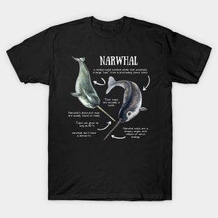 Animal Facts - Narwhal T-Shirt